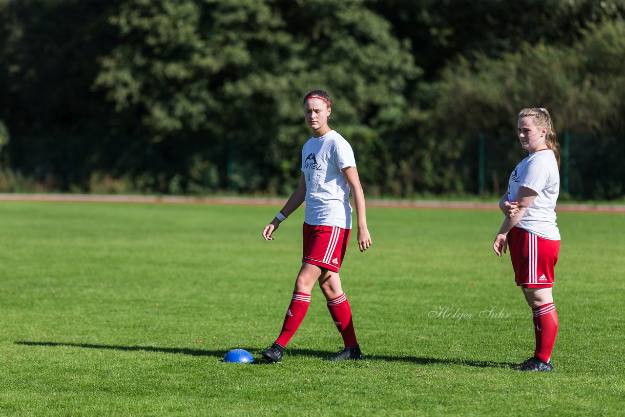 Bild 152 - Frauen SV Wahlstedt - ATSV Stockelsdorf : Ergebnis: 2:2